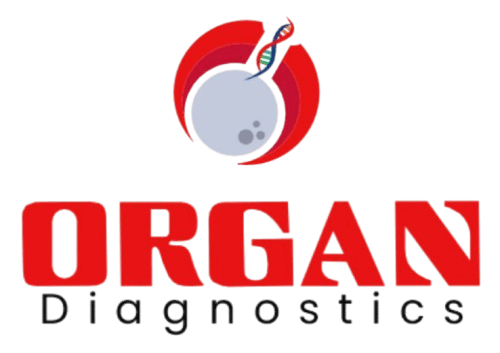 Organ diagnostic